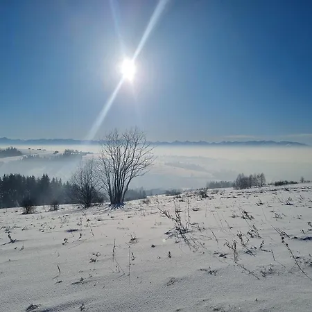 Przy Miedzy Domek alpejski